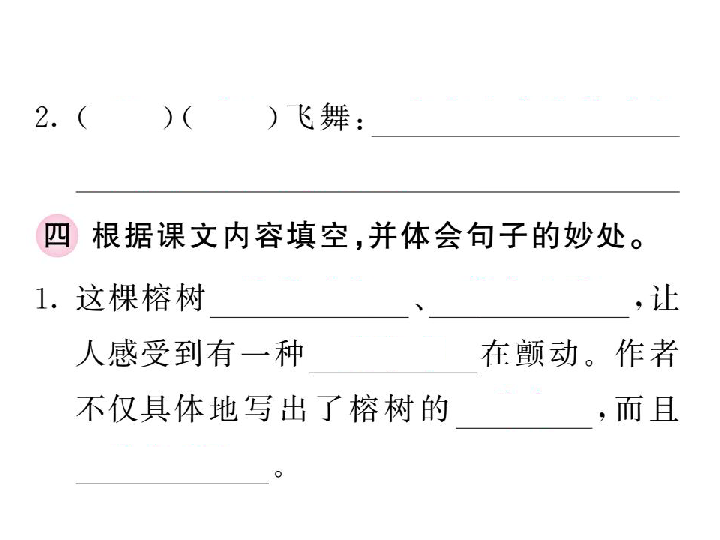 部编版五年级上册语文园地七习题课件（10张PPT)