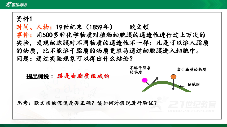 人教版 高中生物必修1：4.2生物膜的流动镶嵌模型（课件）