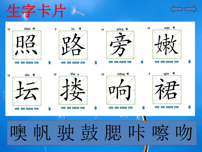 小学语文湘教版二年级下册同步课件：4风姑姑的照片
