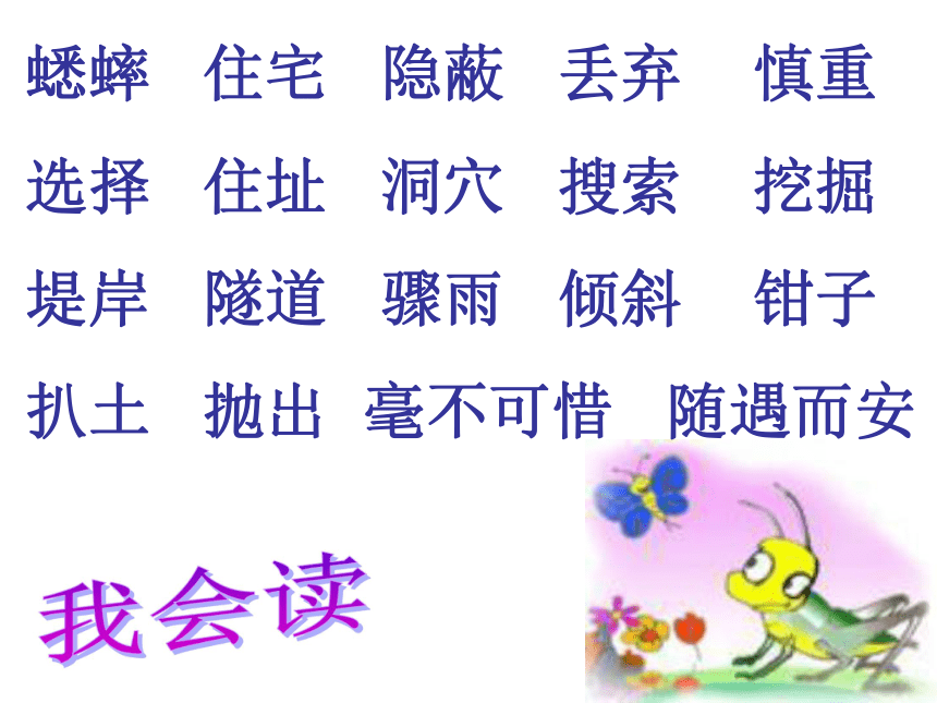 《蟋蟀的住宅》课件 (共30张PPT)