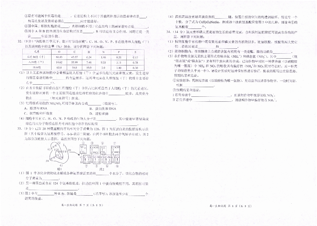 河南省豫西名校2019-2020学年高一上学期第一次联考生物试题 PDF版