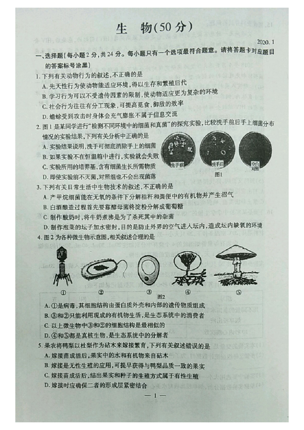 内蒙古包头市青山区2019-2020学年第一学期八年级生物期末试题（PDF版，含答案）