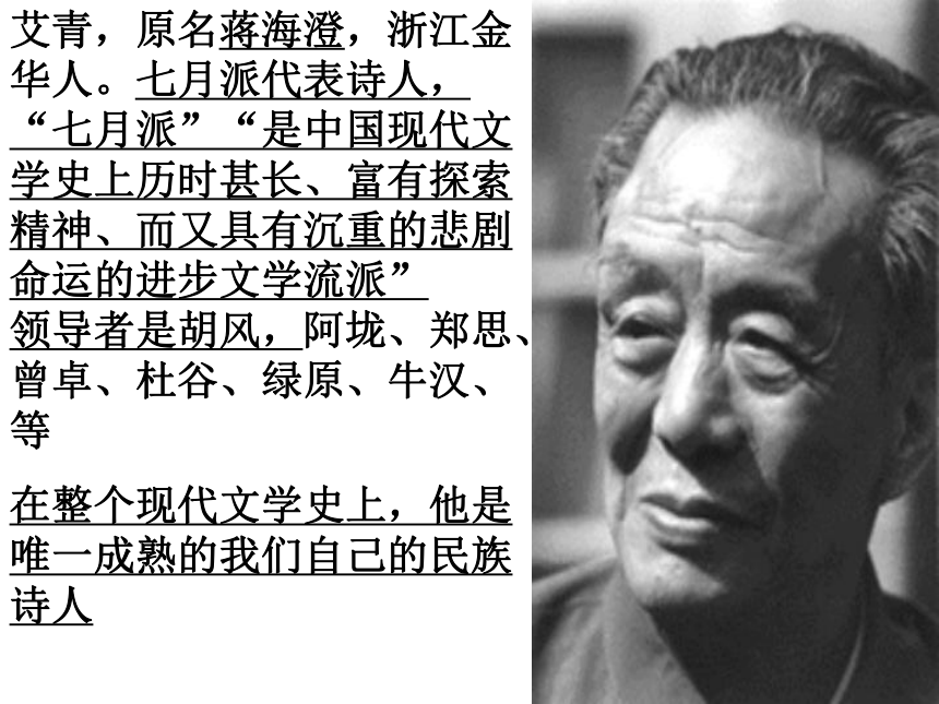 高一语文 必修2 课件 05c 中国现代诗歌五首-雪落在中国的土地上