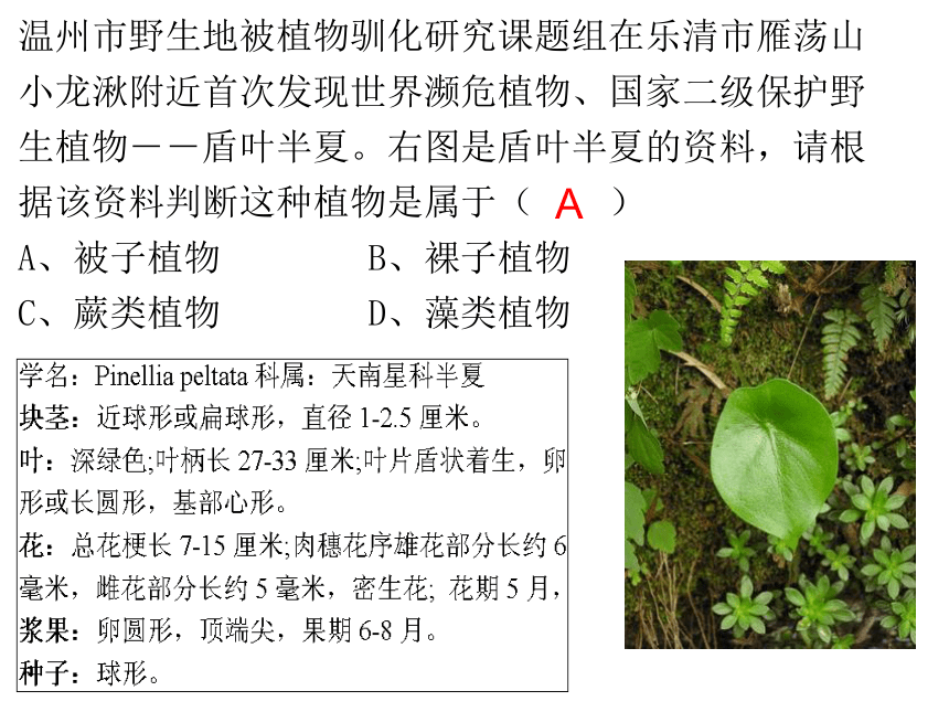 第2章 观察生物（常见的动物和植物） 复习