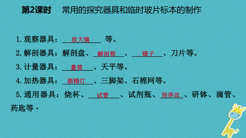 探索生命的器具第2课时常用的探究器具和临时玻片标本的制作课件(19张PPT）