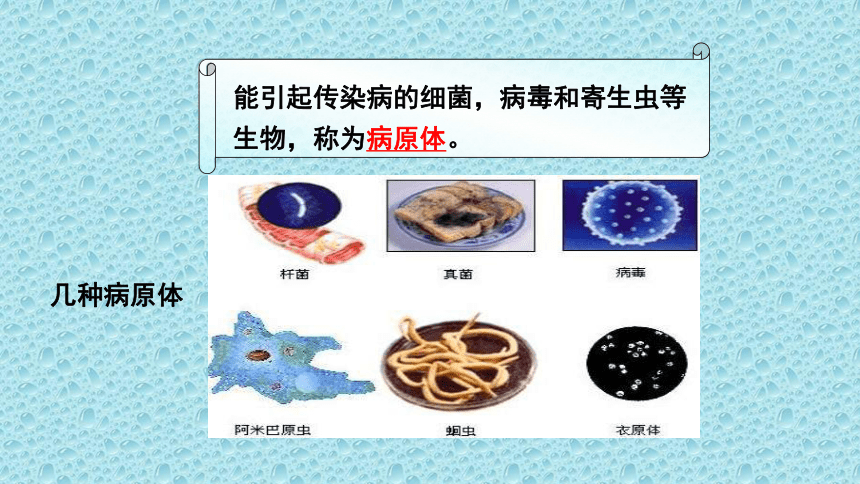 10.25.1 传染病 课件