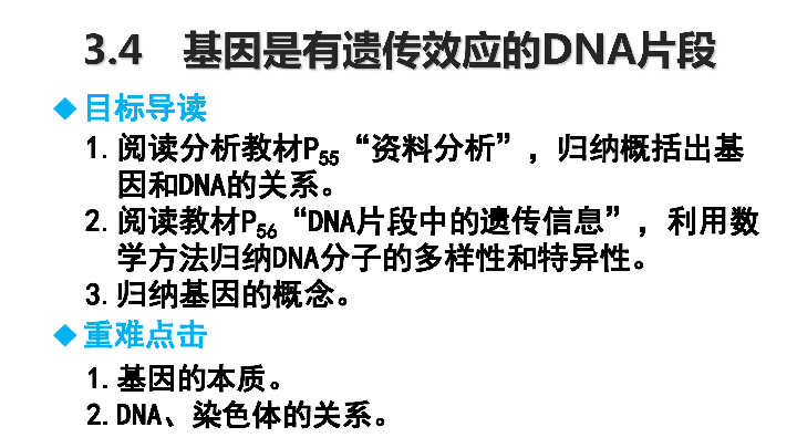高中生物 必修2 人教版 3．4　基因是有遗传效应的DNA片段 课件（共34张PPT）