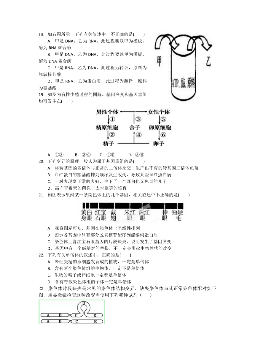 福建省莆田市二十四中2016-2017学年高二年下学期期中考生物试卷 Word版含答案