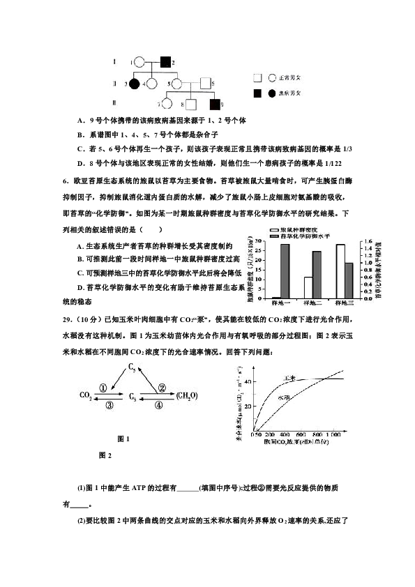 陕西省延安一中2020届高三第十一次质量检测理综-生物试题