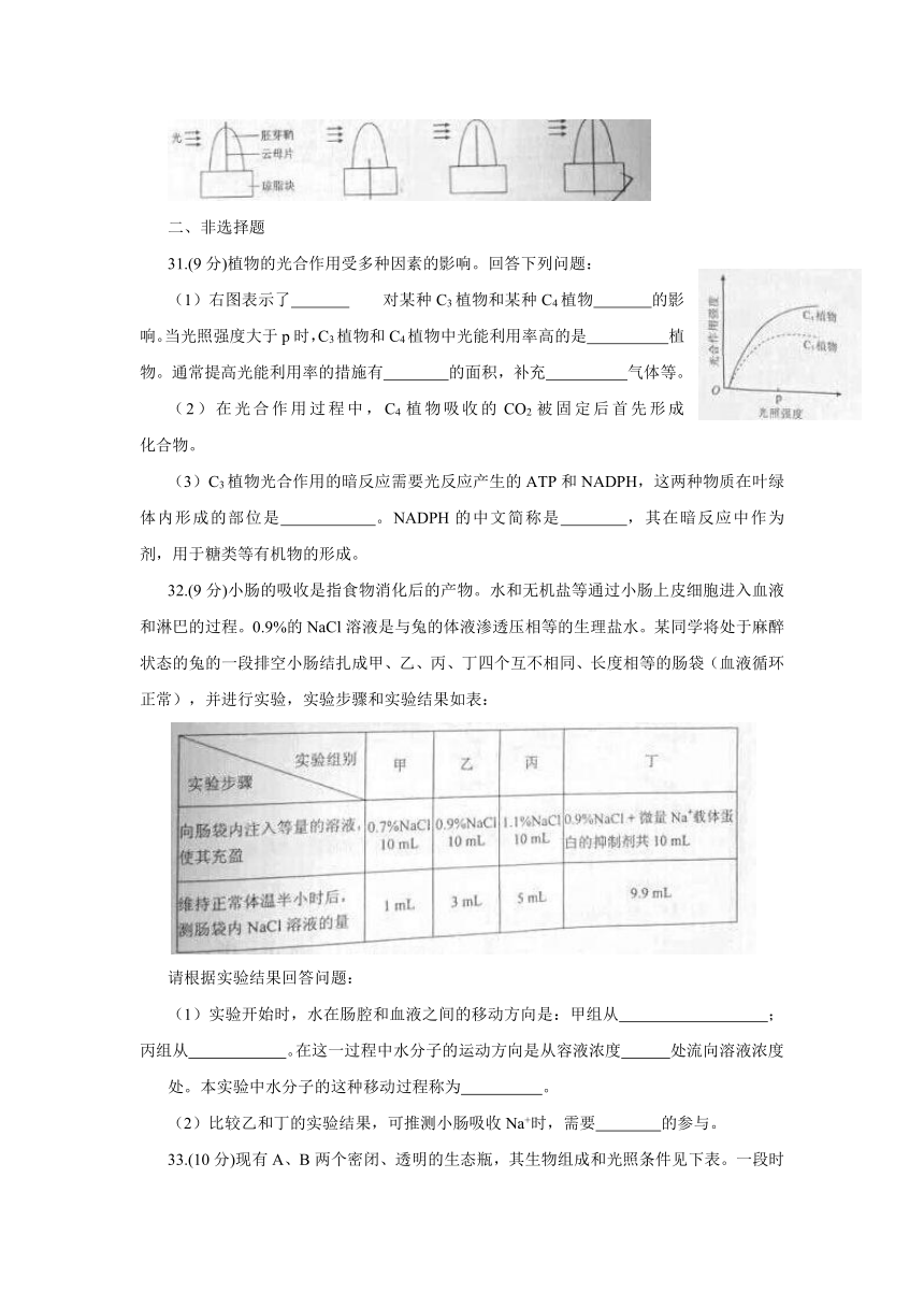 2014年高考真题——理综（全国大纲卷）Word版含答案