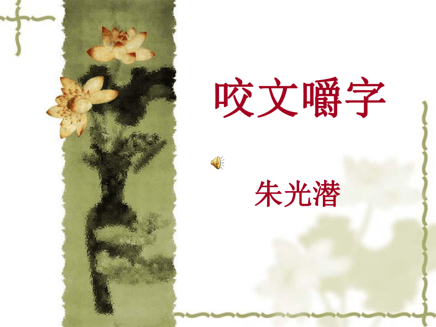 咬文嚼字 课件5