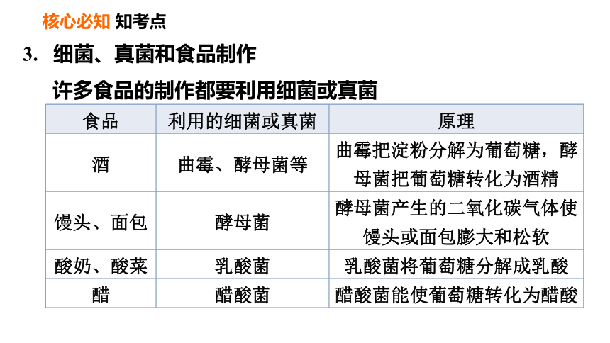 人教版八年级上册生物第5单元第四章细菌和真菌第五章病毒巩固强化