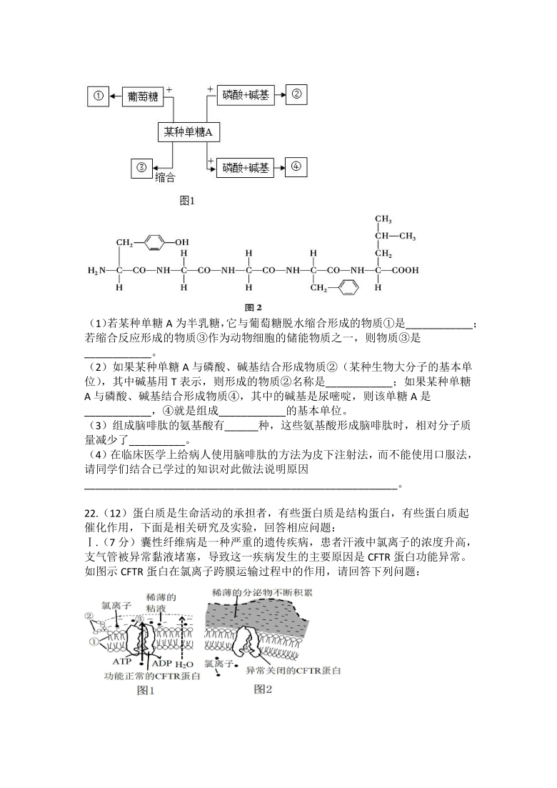 云南省泸西县第一中学2020-2021学年高一上学期1月期末模拟（二）生物试题 Word版含答案