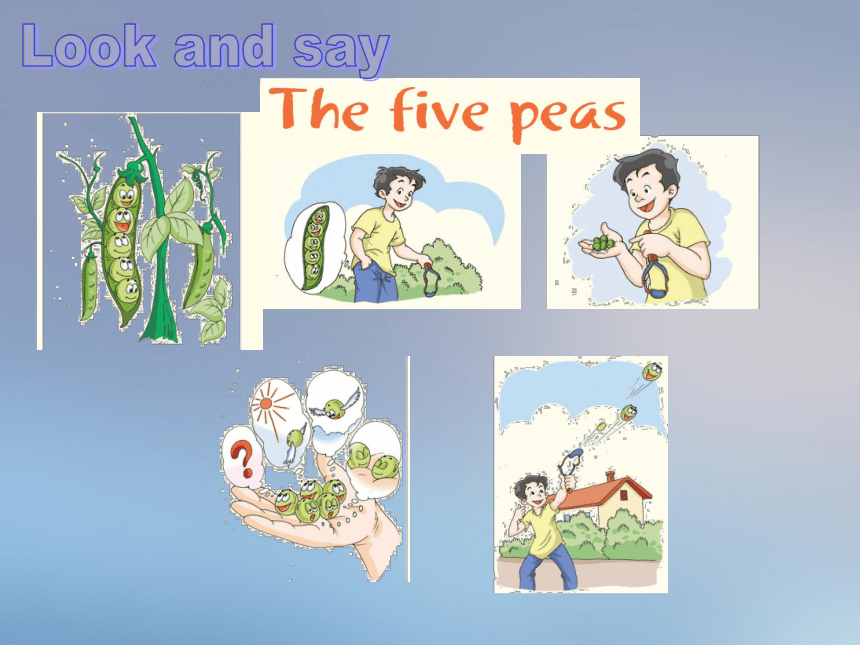 Unit 12 The five peas 第三课时课件