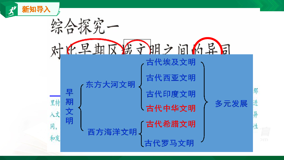 综合探究一 对比早期区域文明之间的异同 课件