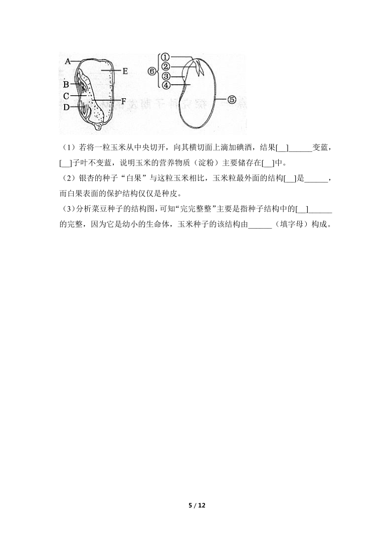 人教版生物七年级上册3.1.2《种子植物》同步练习(word版含解析)