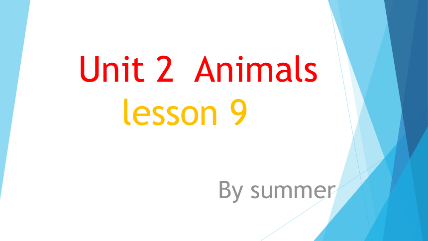 Unit 2 Animals Lesson 9 课件