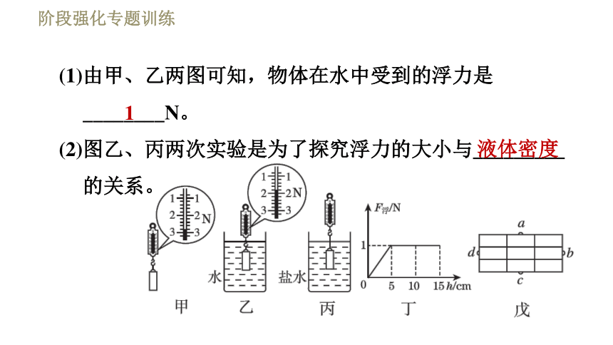 沪粤版八年级下册物理习题课件 第9章 阶段强化专题训练（五）  专训2  浮力的探究（22张）