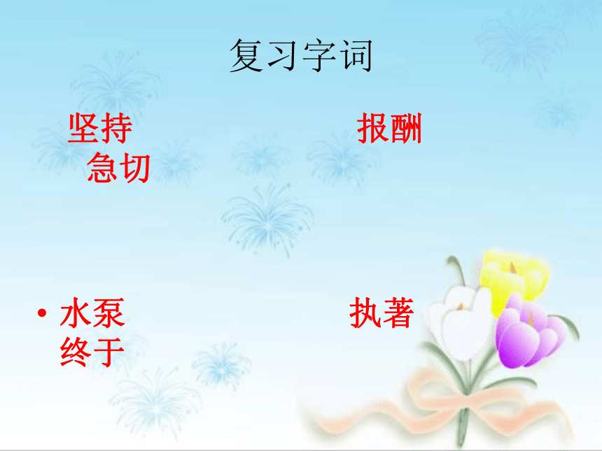 《瑞恩的愿望》课件  (共20张PPT)