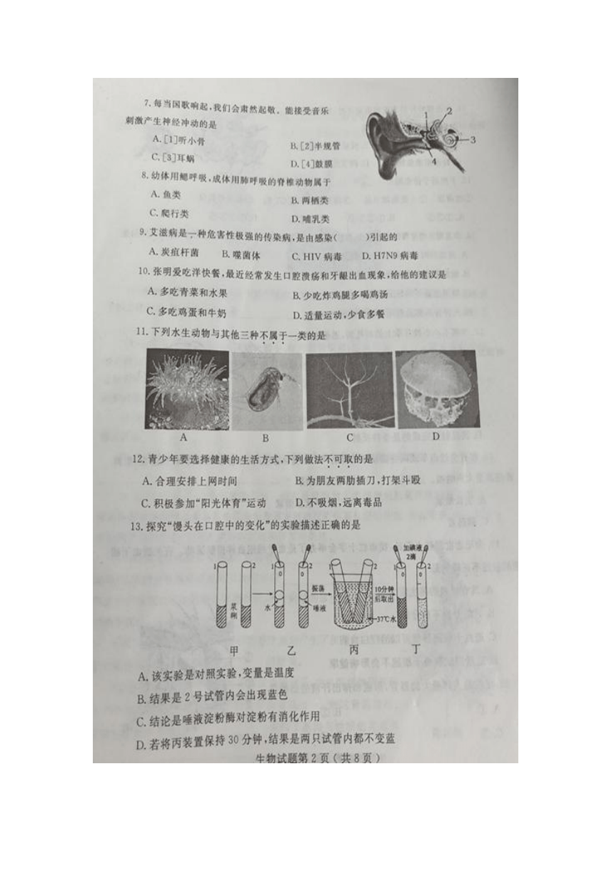 山东省烟台市2016年初中学业水平考试生物试题（图片版，含答案）