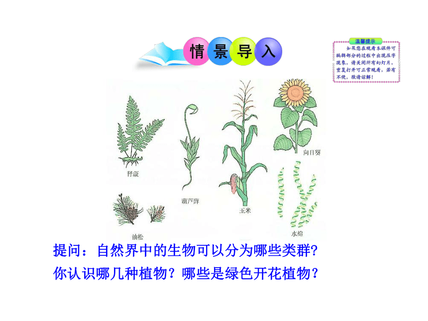 第22章 第2节  植物的主要类群(第1课时)（北师大版八年级下）
