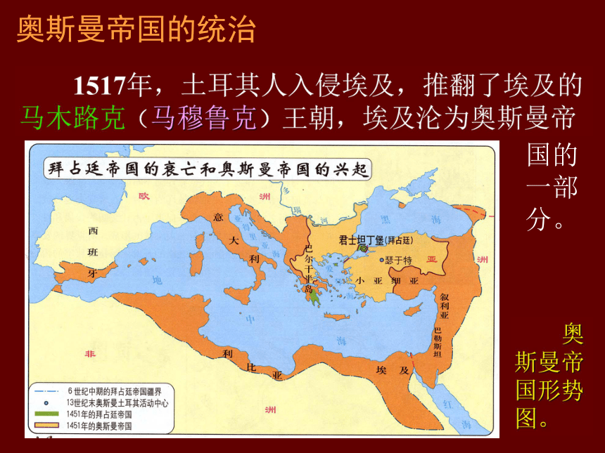 岳麓版选修1第4单元第13课穆罕默德·阿里改革（共41张PPT）