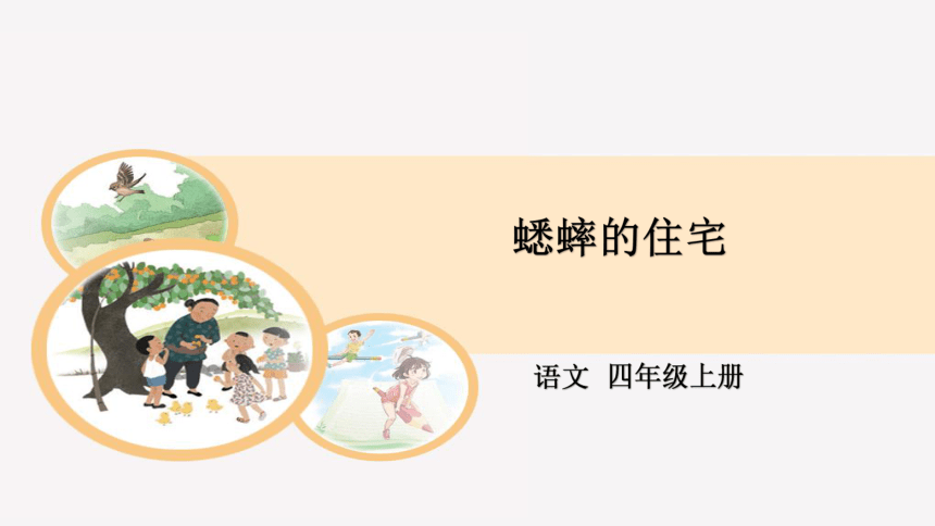 第11课 蟋蟀的住宅 第二课时（课件27张PPT）