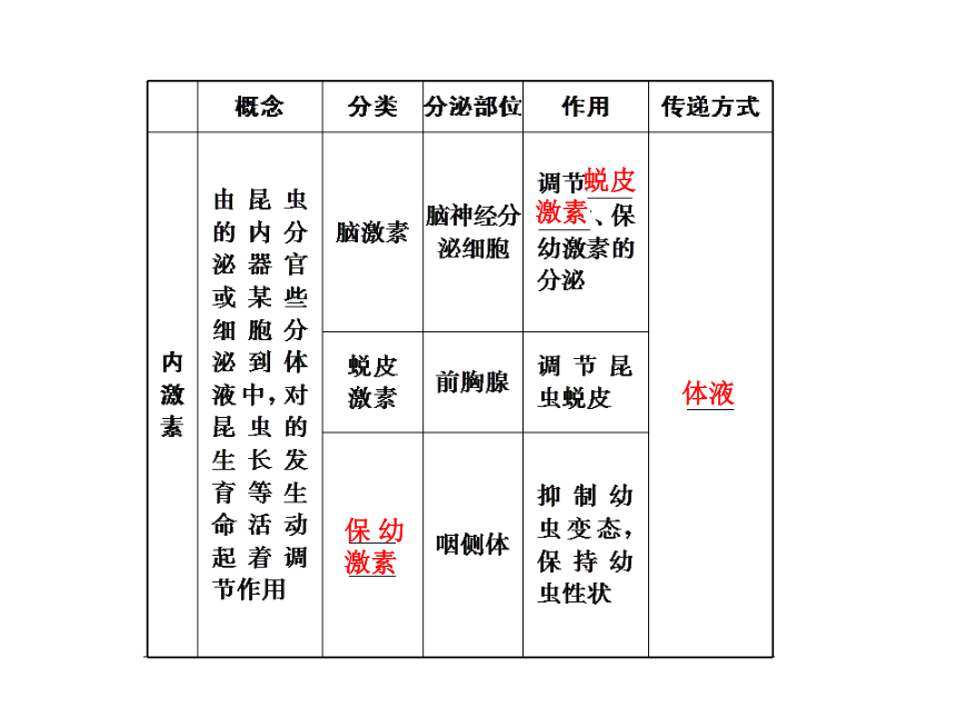 苏教版高中生物必修三第2章 第3节 动物生命活动的调节（39张PPT）