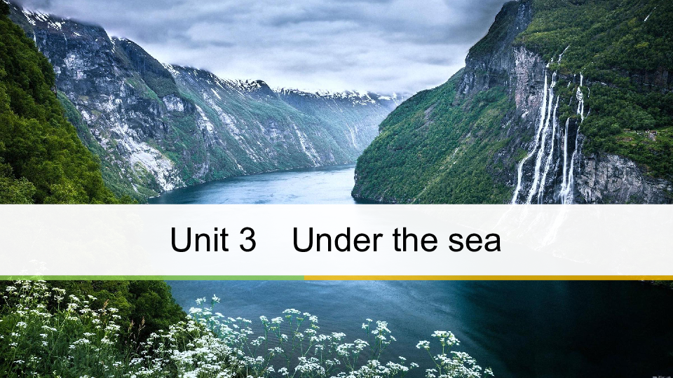 高中英语人教版选修七Unit 3  Under the sea  Period One　Warming UpPre-reading & Reading课件（65张）