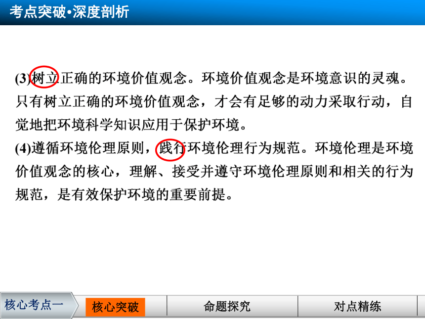 专题五 对环境的伦理关怀 复习课件28张PPT