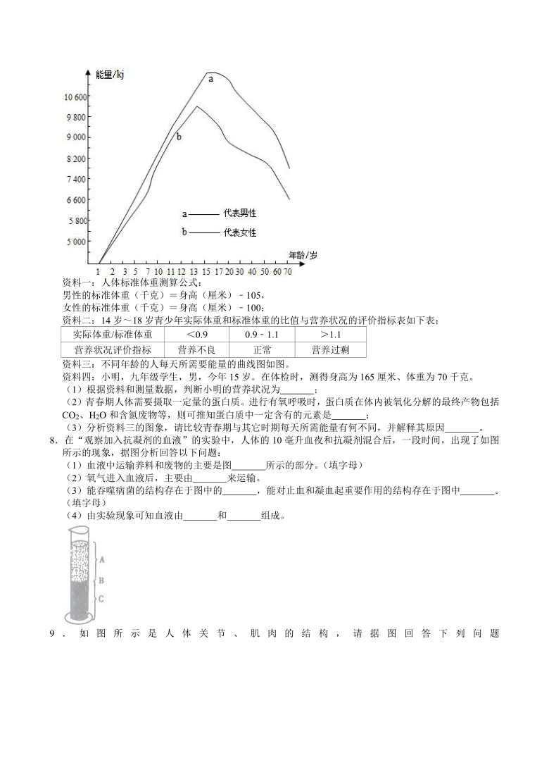 人教版初中生物中考专题训练——实验探究题（2）（word版含解析）