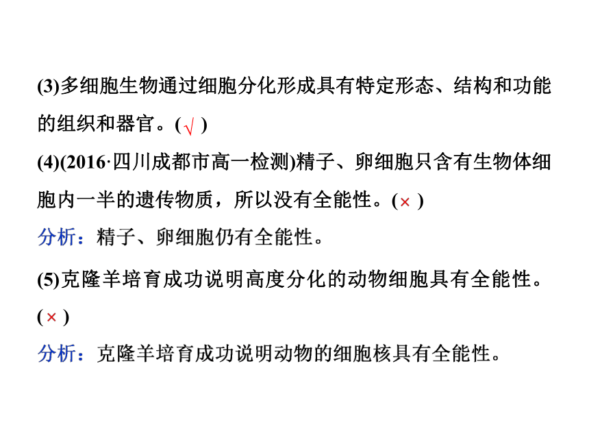 人教版生物必修1课件6.2 细胞的分化（35张ppt）