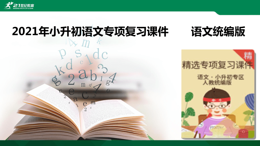 2021年小升初语文专项复习二阅读：4小说阅读课件（33张PPT)