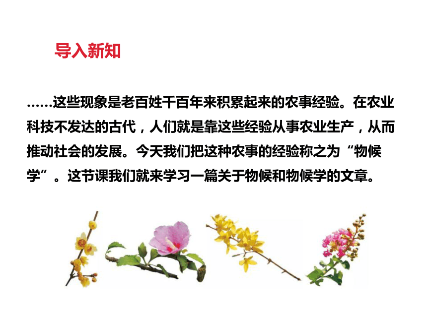 大自然的语言 课件 (共28张PPT)