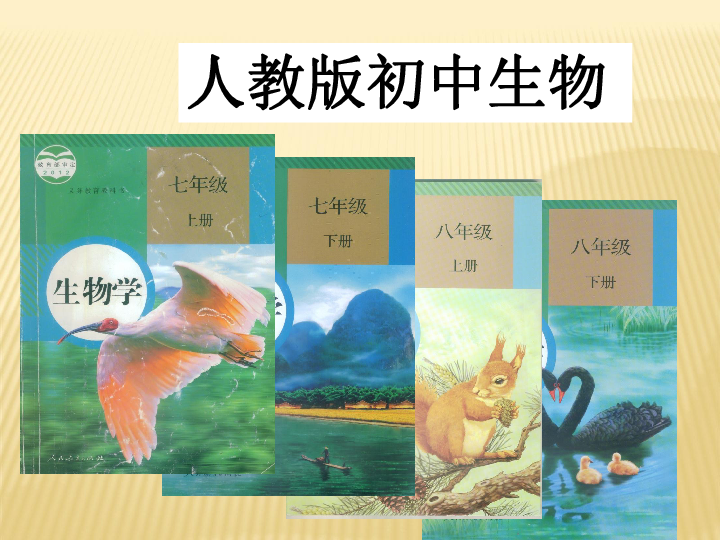 人教版生物七年級上冊第三單元 《生物圈中的綠色植物》說課稿(共25張