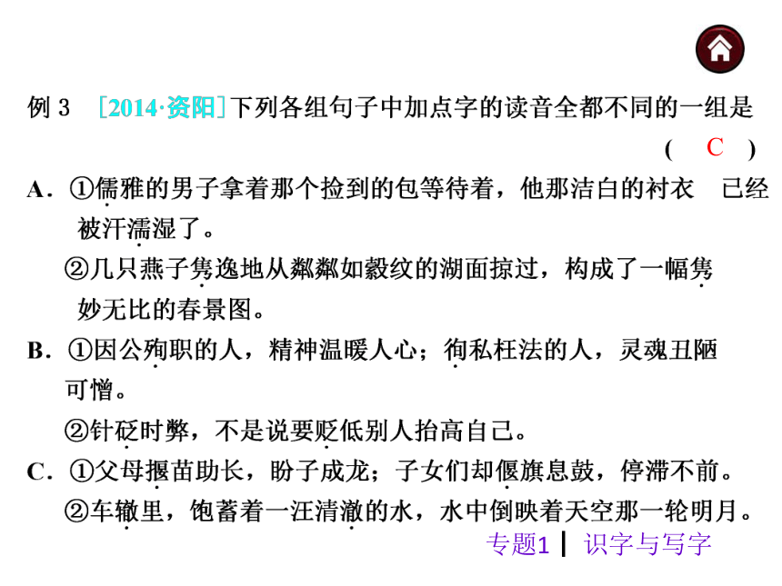 【中考夺分】2015年中考语文复习课件（苏教）第二篇积累与运用-专题1 识字与写字（共25张PPT）