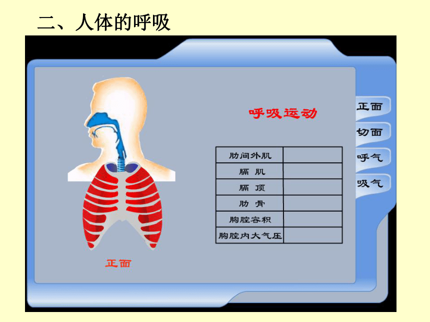 浙教版九年级上第四章第六节人体的新陈代谢(复习)[上学期]