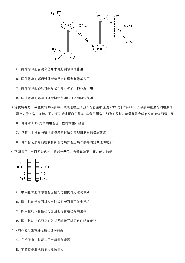 北京市昌平区2020届高三6月模拟（二模）考试生物试题