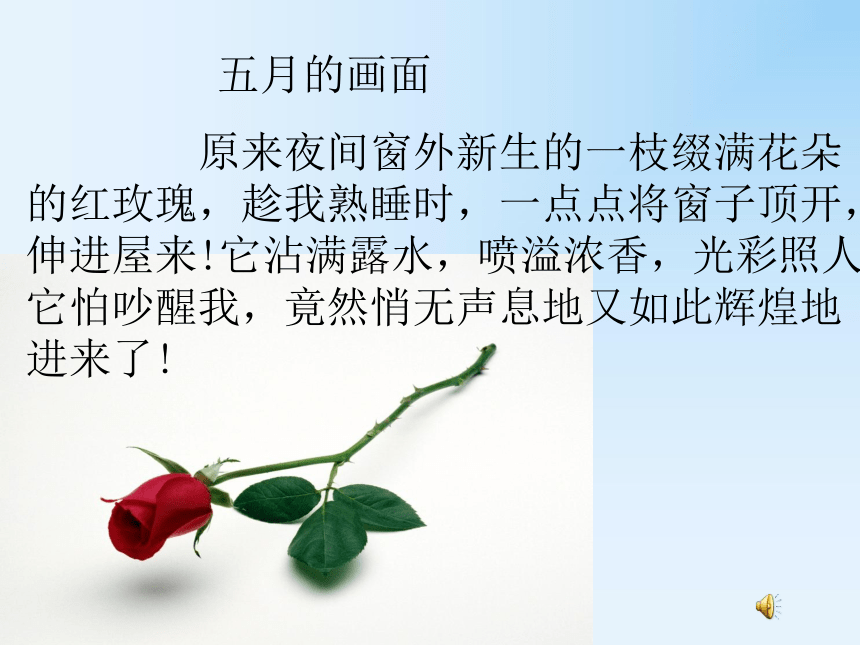 《花的勇气》课件