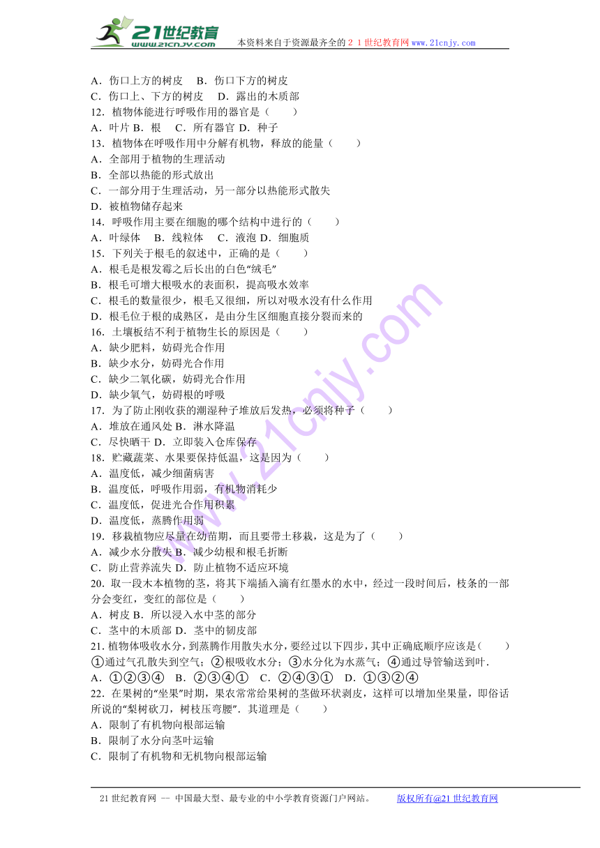 广东省揭阳市揭西县第三华侨中学2016-2017学年七年级（上）第二次月考生物试卷（解析版）