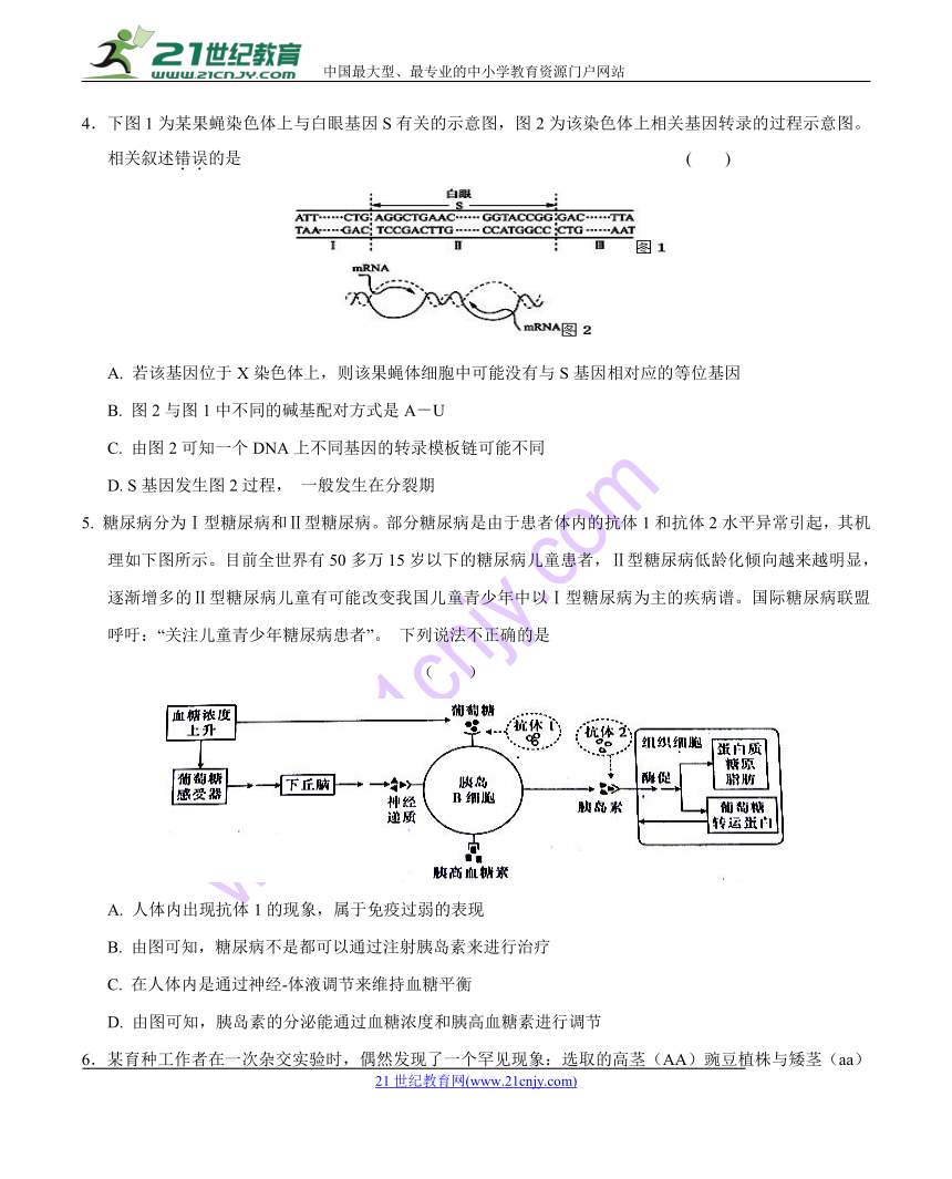 安徽省六安市舒城中学2018届高三仿真（四）理科综合试题 Word版含答案