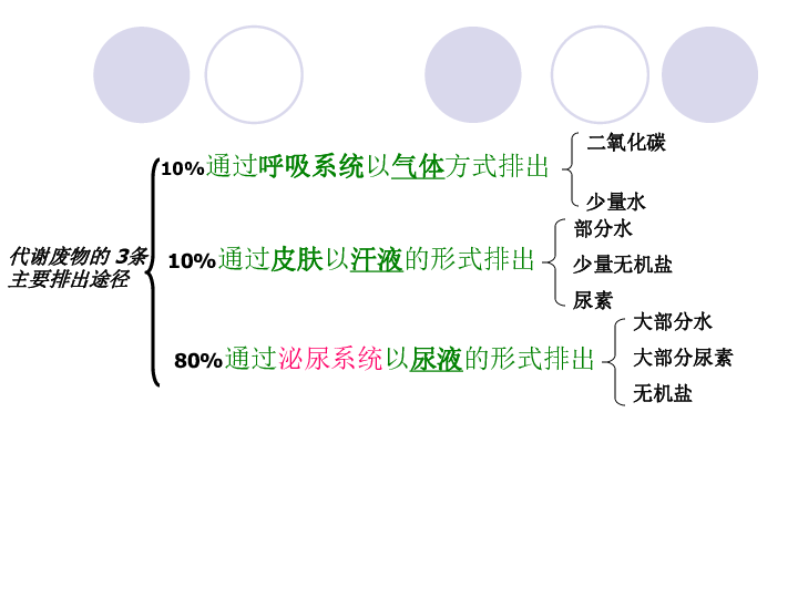 人教版生物七年下册课件 第五章 人体内废物的排出 课件（共28张PPT）