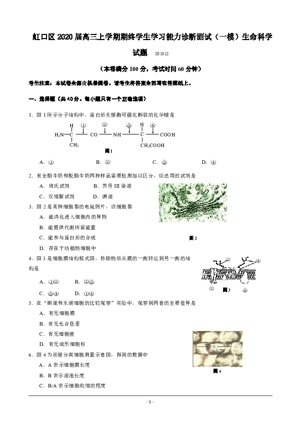 上海市虹口区2020届高三上学期期终学生学习能力诊断测试（一模）生命科学试题