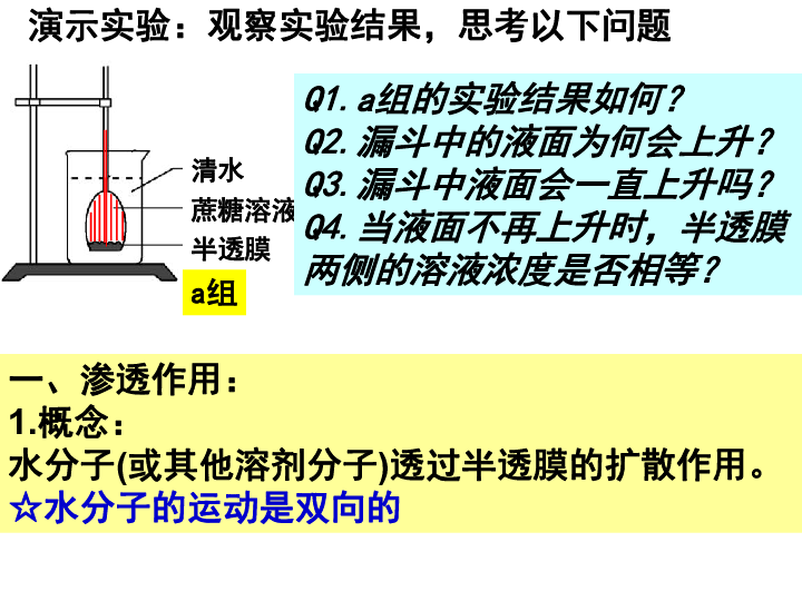 人教版生物必修1   4.1物质的跨膜运输的实例（共19张ppt)