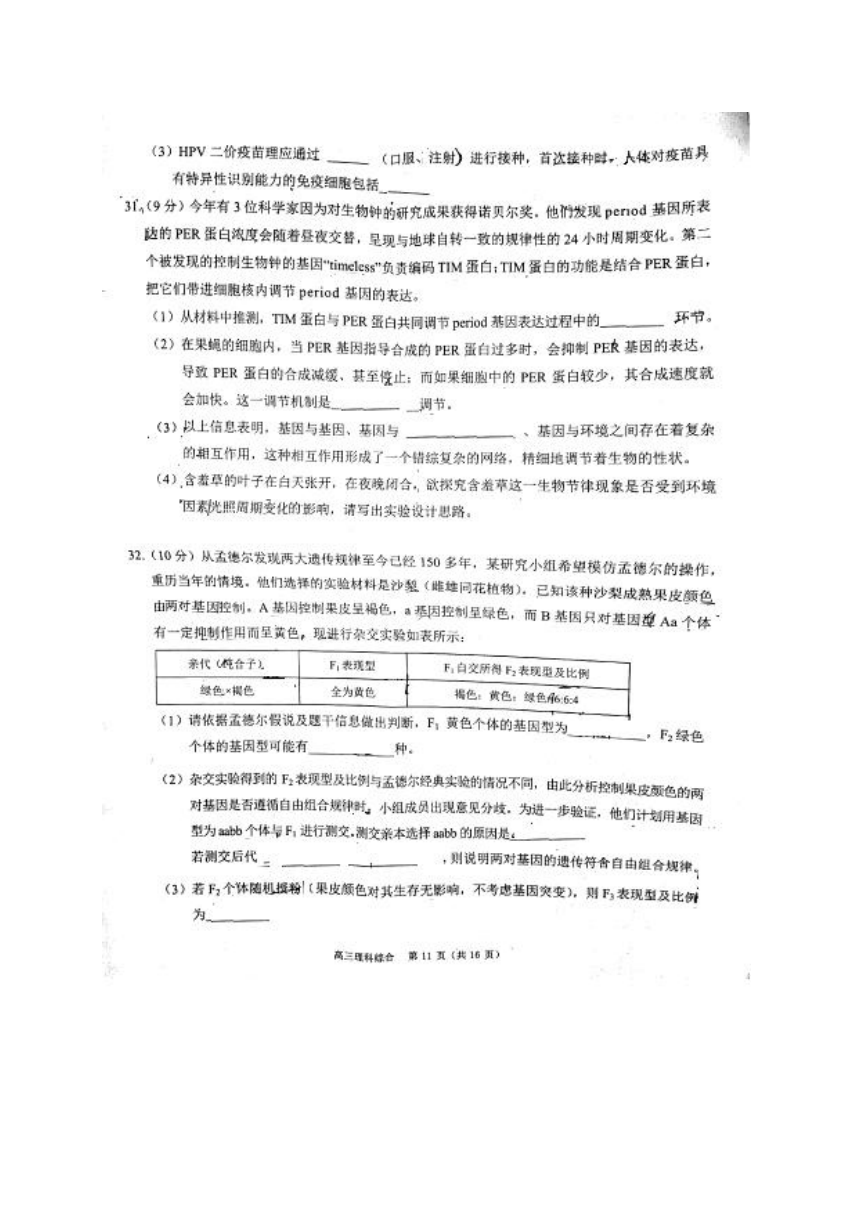 广东省珠海市2018届高三3月质量检测（一模）理综生物试题（图片版）