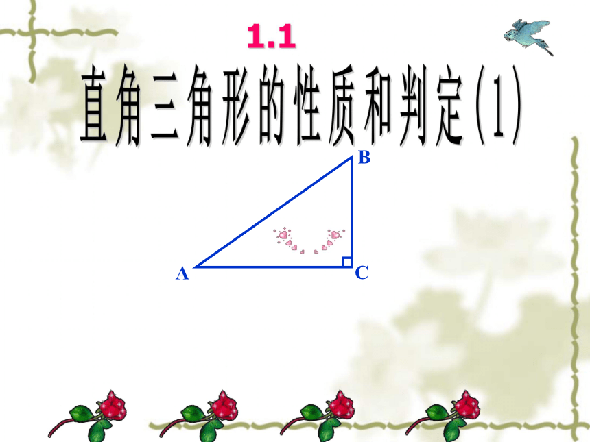 湘教版数学八年级下册（新） 课件：1.1.1 直角三角形的性质和判定（I）（共12张PPT）