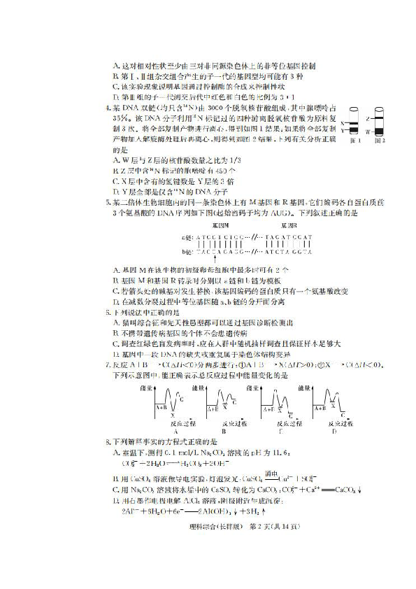 湖南省长郡中学2018-2019学年高二上学期第二次模块检测理科综合试题 扫描版含答案