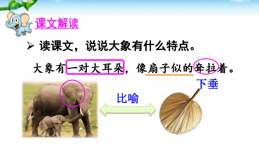 二年级语文下册19.大象的耳朵精品课件