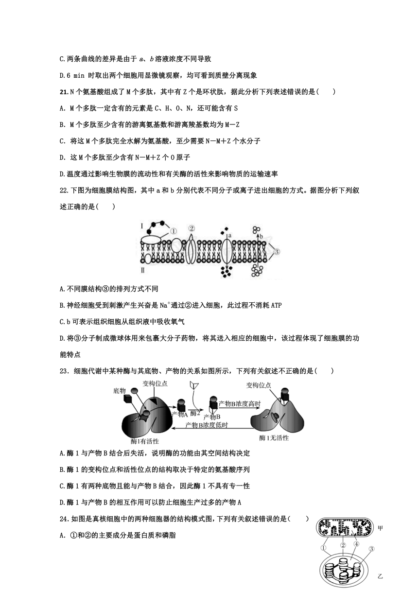 山东省日照青山学校2019届高三上学期第一次月考生物试题
