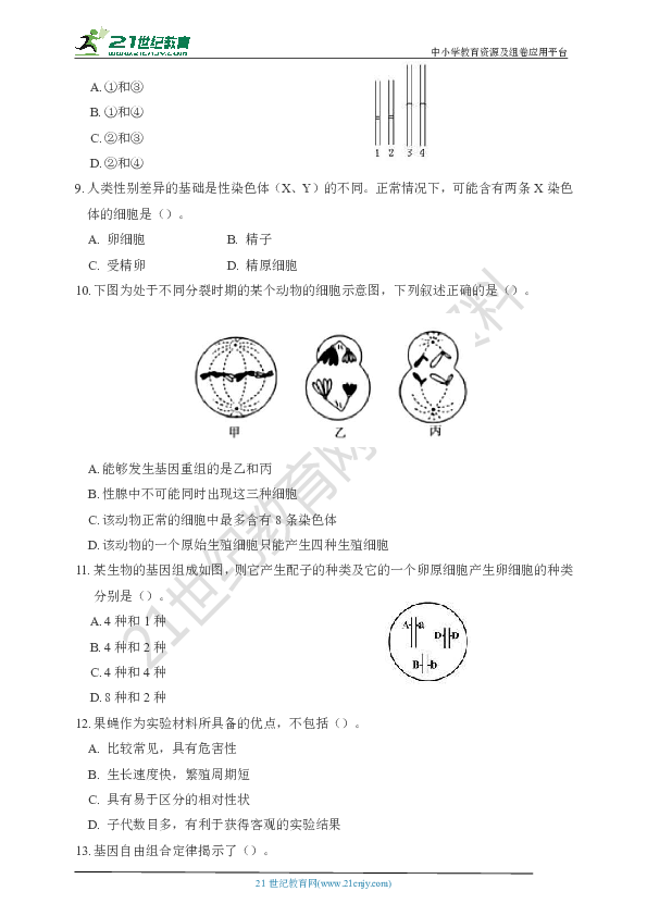 第二章基因和染色体的关系章节同步测试题（含答案）